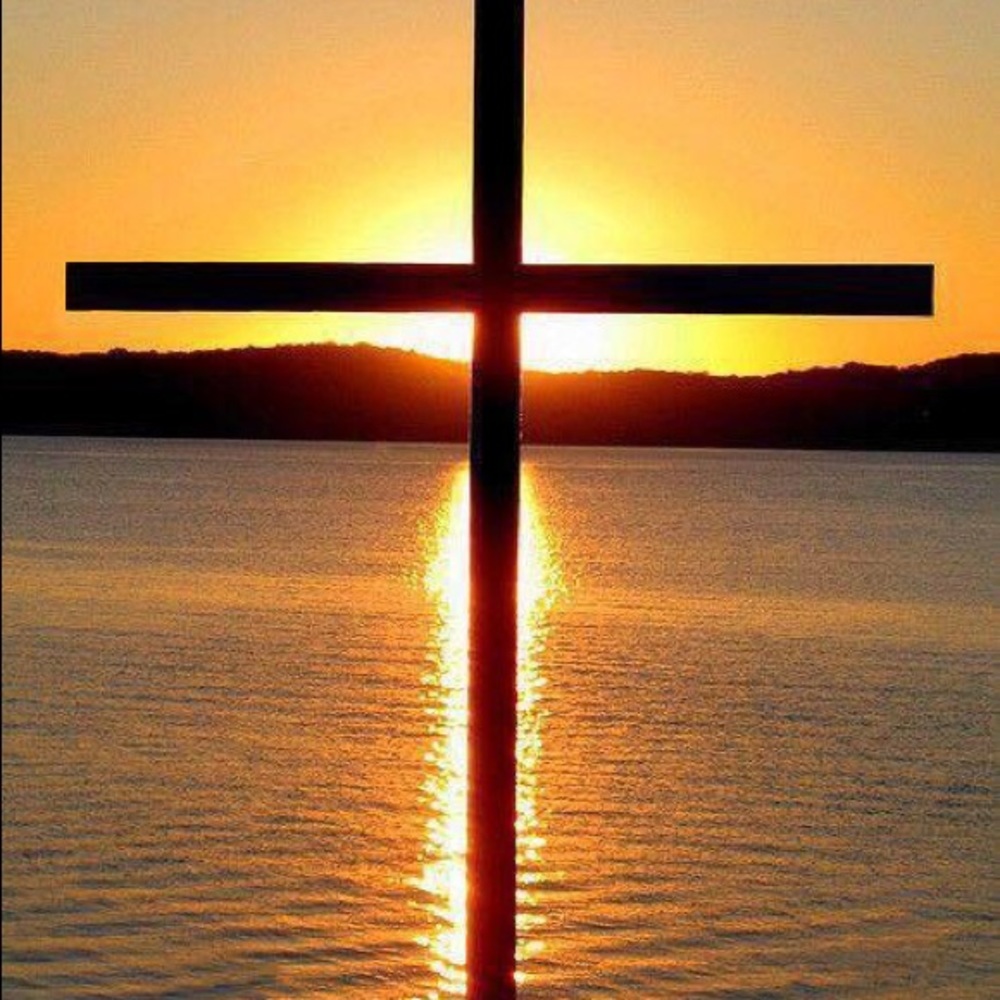 Meet your Posher, Patsy - Picture 1 of 1